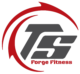 ts logo transparent 3 ryan seamone.webp